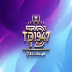 TD1947 Game