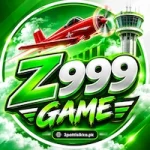 Z999 Game